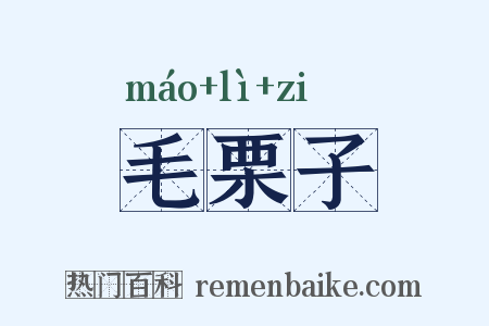 毛栗子是什么意思的图片